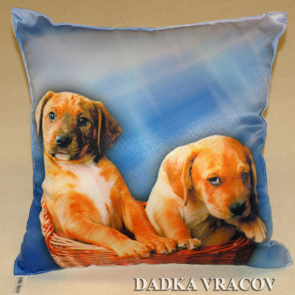 Fotopolštářek Dvě štěňata na modrém 40x40