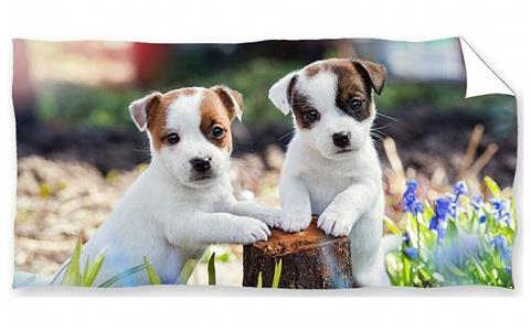 Osuška Bráškové Jack Russell Teriér