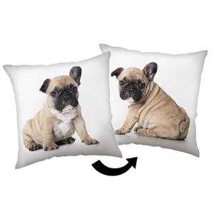 Polštářek Bulldog