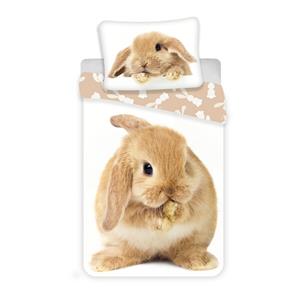 Povlečení fototisk Bunny brown
