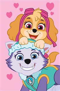 Dětská fleecová deka Paw Patrol PP518