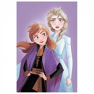 Mikroflanelová deka Frozen Purple 05