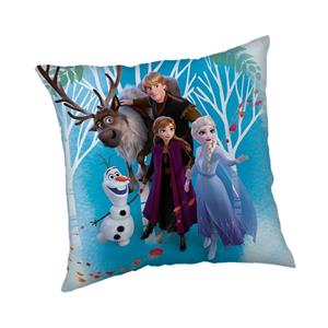 Polštářek Frozen 02 Family