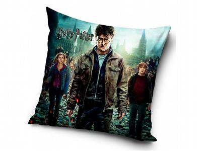 Povlak na polštářek Harry Potter a Čarodějové